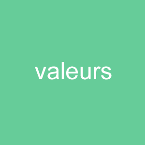 Icone Valeurs