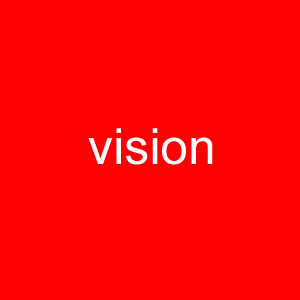 Icone Vision